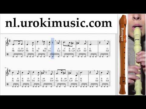 Blokfluitles (B.) Harry Potter - Hedwig's Theme Muzieknoten Cursus um-i374