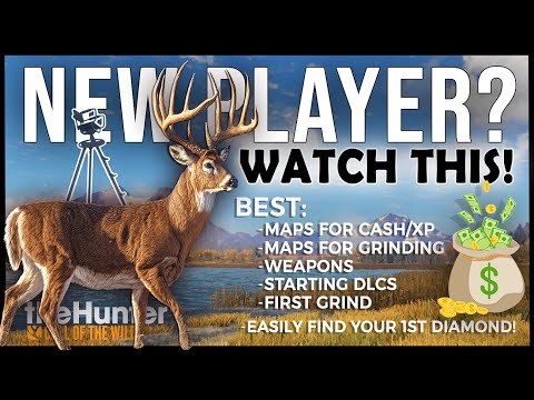 Essential Tips Every New Player Needs in TheHunter: Call of the Wild