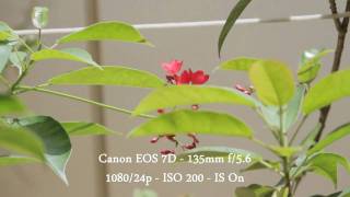 preview picture of video 'Canon EOS 7D - IS test'