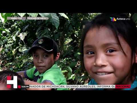 download lagu mp3 mp4 Cafe Camila Nayarit, download lagu Cafe Camila Nayarit gratis, unduh video klip Cafe Camila Nayarit