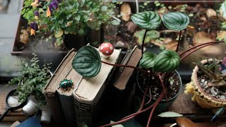 pack orders with me - real time asmr, no mid-roll ads