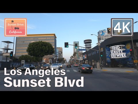 Beautiful Sunset Drive Sunset Blvd Los Angeles, California | April 2022🌴🚙🌆