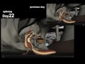 Jeff Gabor Evolution Reel