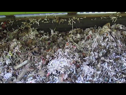 Worm Composting: System Using Rain Barrel Cut In Half