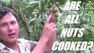 Top 3 Ways to Ensure You Get Raw Nuts on a Raw Food Diet