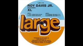 Roy Davis Jr. Featuring XL  -  Reach (Get Large Vocal)