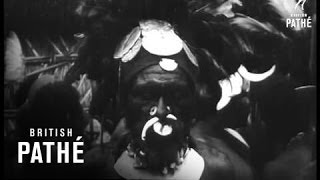 Wool Producing Experiment In New Guinea (1949)