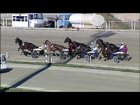 Napoli Trotto 31/01/2023 - 2ª corsa