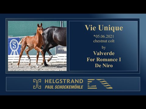 02 Vie Unique by Valverde -  For Romance I - De Niro