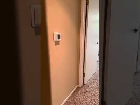 Mozaic apartment tour 12/23/23 1354 sqft