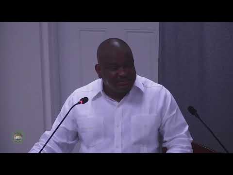 Briceno’s Fortis Strategy Sparks Heated Debate in Senate