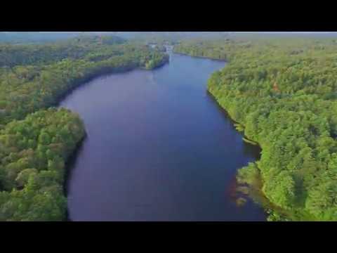 Vacation on Long Pond