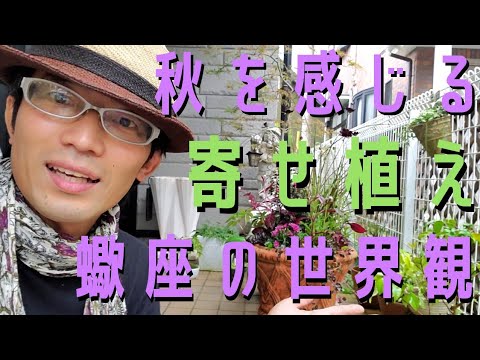 園芸 クズアシ、アロールート、ディクタム、ルルート