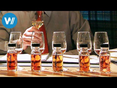 The Whisky Secret of Islay (360° - GEO Reportage)