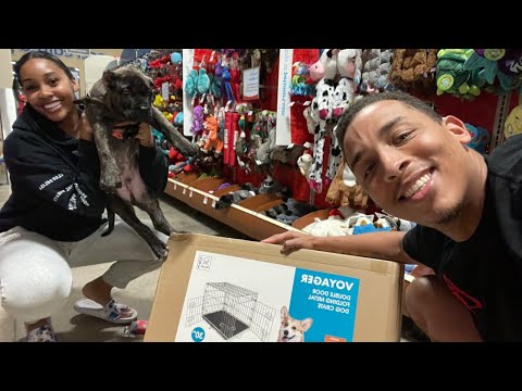 TAKING OUR PUPPY SHOPPING FOR THE FIRST TIME + THANKSGIVING CELEBRATION!