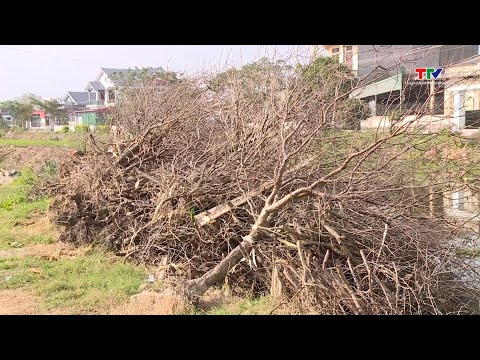 Đào Quảng Chính mất mùa