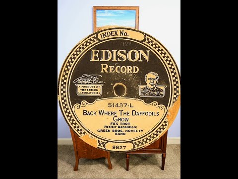 Foxtrot, "Back Where The Daffodils Grow", Green Brothers Novelty Band, Edison Diamond Disc 51437-L