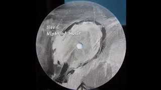 Savannah  -  Night of music