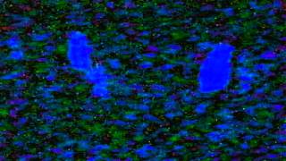 Even As We Speak - Drown (better quality version)