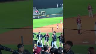 【CT AMAZE】#就一起 台湾VS樂天 @桃園棒球場 20241110 #台湾チア #cheerdance #cheerleading #amaze #啦啦隊 #premier12