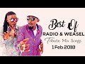 Best Of Radio Weasel Tribute Mix Songs 2018