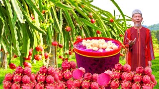 Download lagu AIR JUS BUAH NAGA LAICI | Fresh dari Ladang ‼️ | Dragon Fruit with Laichee Juice ! mp3
