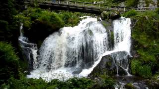 preview picture of video 'Der Triberger Wasserfall im Schwarzwald'