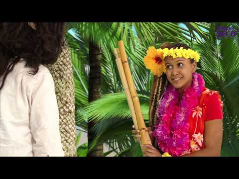 GrapeSEED Magic - We Sweep, We Swept!