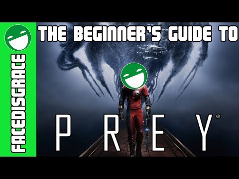 The Beginner's Guide to Prey