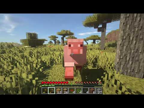 Relaxing Minecraft Longplay with Nature Sounds and Music