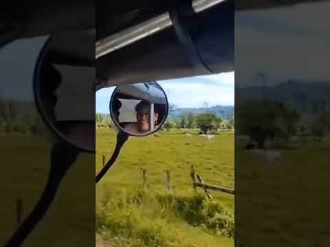 Parte 7# !Así fueron mis vacaciones En bahía solano chocó Colombia 🫢 #bahiasolano #vacaciones #mar