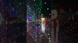 2023.12.02 兵庫県立フラワーセンター "花と光のクリスマス"