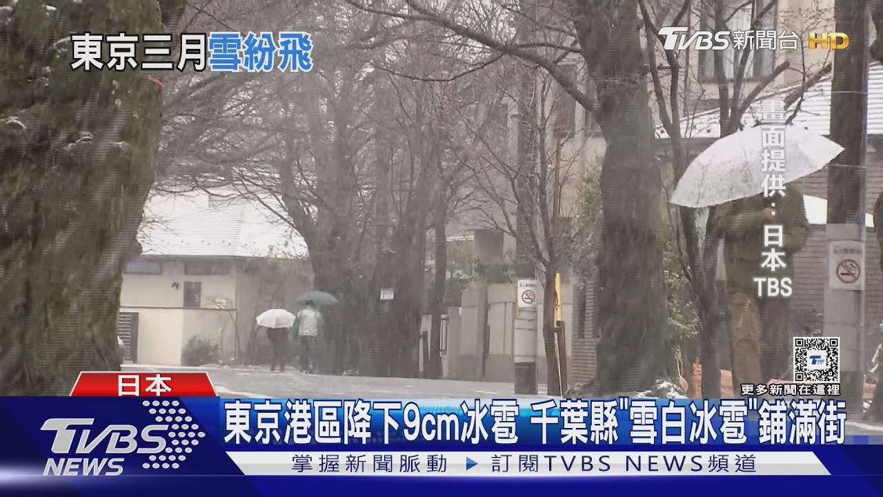3月罕降雪 下週暖如初夏 東京櫻花最快周末開
