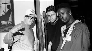 3rd Bass - Product Of The Environment (The Samples Revisited)