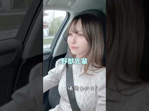 お姉ちゃんに野獣先輩歌ってもらった #お姉ちゃん歌って #yaju&u #歌ってみた #アカペラ #ドライブ #歌うま