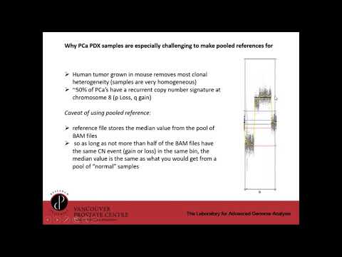 Challenges and Solutions to Copy Number Estimation from Whole Exome Sequencing in Tumors