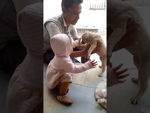 hetvi bachpan with dog