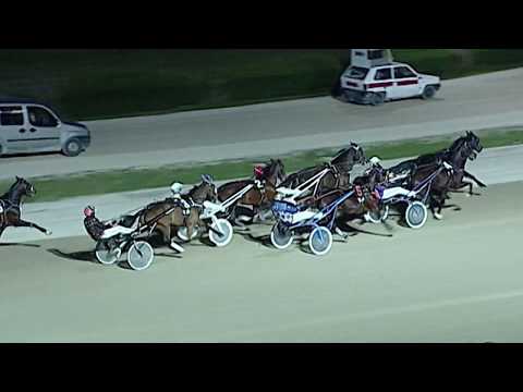 Aversa trotto 22 Febbraio 2020 - 6° Corsa