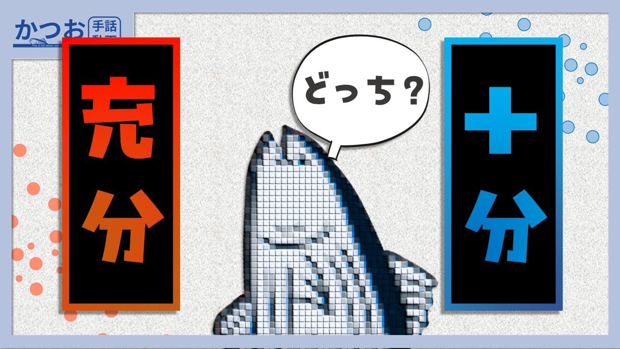 手話で十分？充分？| #257