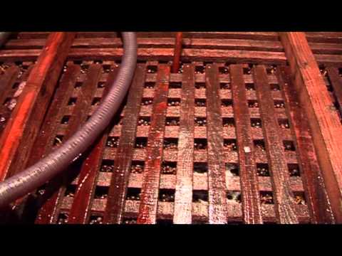 La vinification en Beaujolais