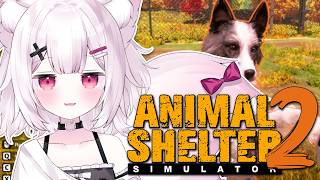 【Animal Shelter 2】インターネットで癒される
