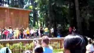 Kids Actin' A Fool at Stern Grove with SoVoSo