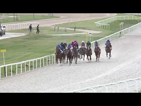 2020.07.12. 10. futam - IVANHOE HENDIKEP (V.o.) (szintetikus pálya)