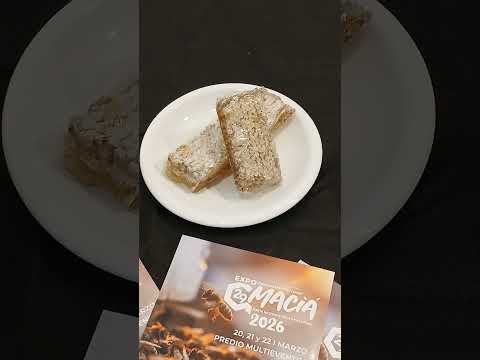 Presentación de la Exposición apícola del Mercosur en Maciá Entre Ríos