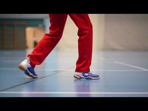 Swiss Badminton Akademie
