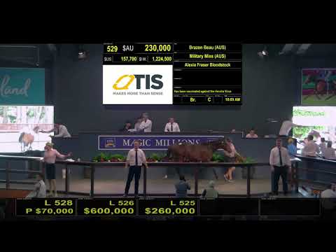 2020 Gold Coast Yearling Sale Day 3 (Replay)