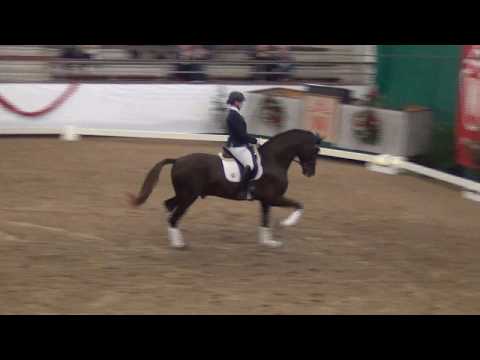 SELECTRIC & Henrike Sommer