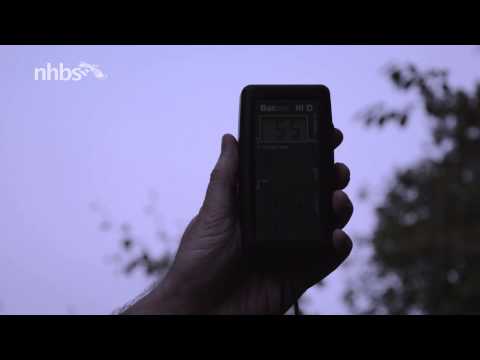 Batbox III D bat detector