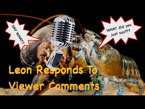 Leon Responds To Viewer Comments