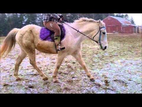 I hid my heart under the bed